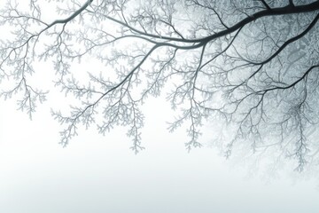 Fototapeta premium Black and white branches against a snowy sky evoking quiet winter beauty ideal for seasonal decor nature inspired art or minimalist backgrounds