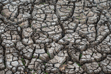 cracks ground, Drought rice fields, Cracked soil background