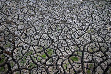 cracks ground, Drought rice fields, Cracked soil background