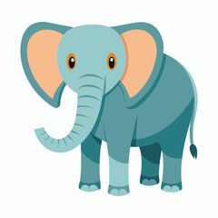 a elephant on white background
