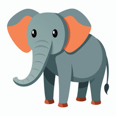 a elephant on white background