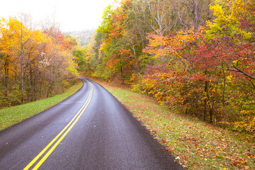 Fototapeta premium road in autumn forest