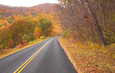 Blue Ridge Parkway Fall 2024