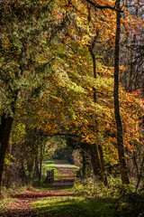 Herbstliches Foto von der Landschaft in Süddeutschland