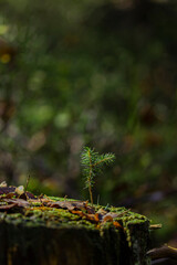 Herbstliches Foto von der Landschaft in Süddeutschland