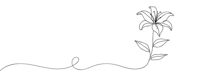 Lily flower Continuous one line drawing