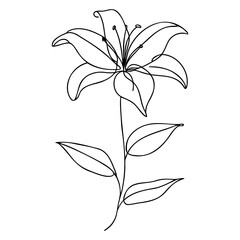 Lily flower Continuous one line drawing