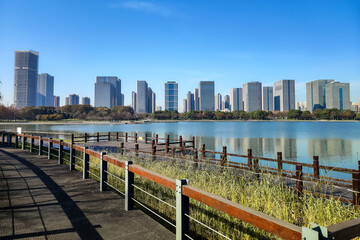 Serene Lakeside View of a Modern City Skyline under Clear Blue Sky