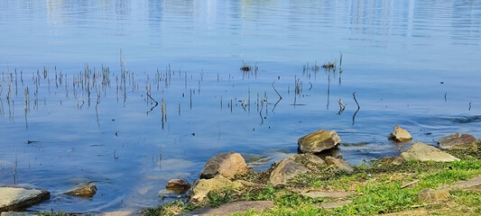 Tranquil Lake Landscape Featuring Rocks and Reeds