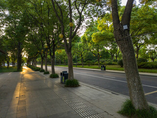 Serene Urban Landscape at Sunset with Lush Green Trees