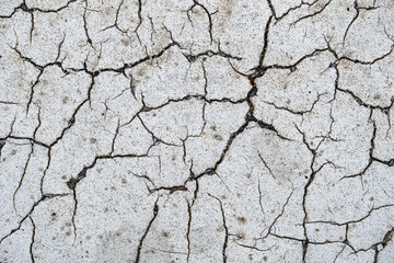 Cracks in the white paint on the asphalt road