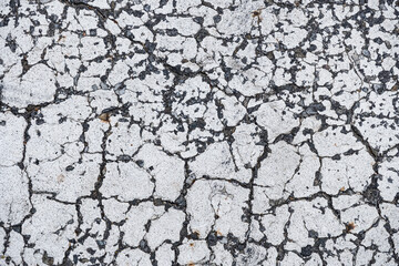 Cracks in the white paint on the asphalt road