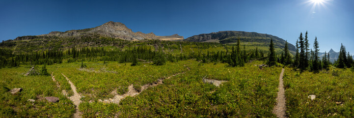 Fototapety na wymiar - Fototapeta24.pl