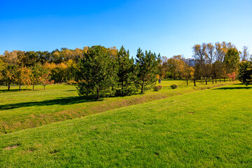 A large field of grass with trees in the background