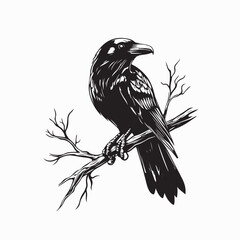 Raven sitting on a dry branch vector image isolated on white background.