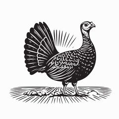 Turkey bird silhouette vector Turkey Animal logo icon on a White Background 