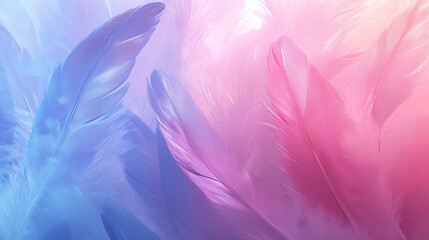Obraz premium pastel colour of feathers for background