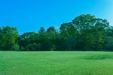 Green Park