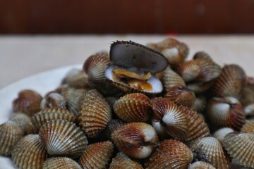 Close-up of fresh steamed mussels on a plate with easy seafood recipes