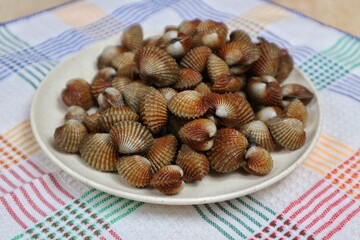 Sweet seafood blood clams served on a plate top view