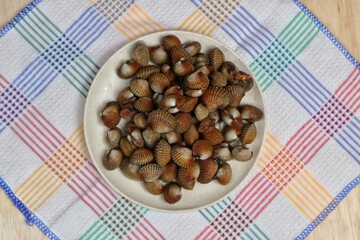 Sweet seafood blood clams served on a plate top view