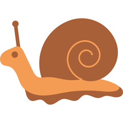 Snail Illustration