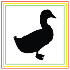 duck silhouette vector design on white background