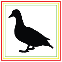 duck silhouette vector design on white background