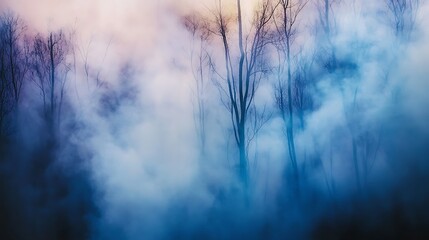Obraz premium A silhouette of trees is obscured by a thick blue and white fog at sunset.