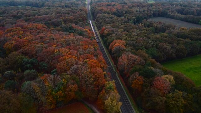 Train in a forest with autumn colors