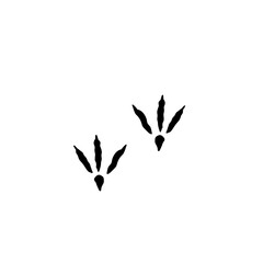 Obraz premium Animal Footprint 