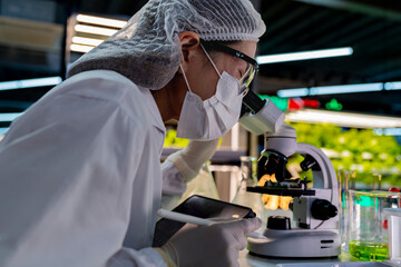 A scientist in a mask, hairnet observes samples through a microscope in a lab, with green liquid in the background. The image highlights detailed research, precision, and scientific investigation.