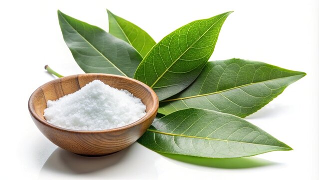 High angle view of camphor gum isolated on white background