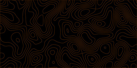 Topographic canyon geometric map relief texture with curved layers and shadow. abstract White background with a beautiful pattern, Topographic contour lines vector map seamless pattern vector.	
