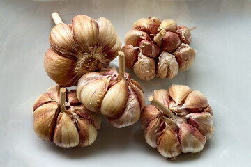 Nothing beats the aroma of fresh garlic. A kitchen staple that adds bold flavor and endless possibilities to any dish. 