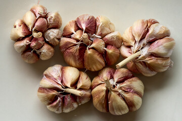 Nothing beats the aroma of fresh garlic. A kitchen staple that adds bold flavor and endless possibilities to any dish. 
