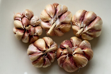Nothing beats the aroma of fresh garlic. A kitchen staple that adds bold flavor and endless possibilities to any dish. 