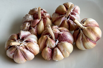 Nothing beats the aroma of fresh garlic. A kitchen staple that adds bold flavor and endless possibilities to any dish. 