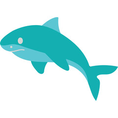 Shark Illustration