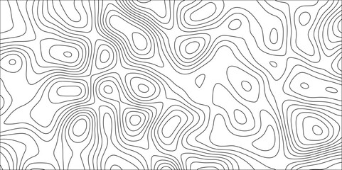 Topographic canyon geometric map relief texture with curved layers and shadow. abstract White background with a beautiful pattern, Topographic contour lines vector map seamless pattern vector.
