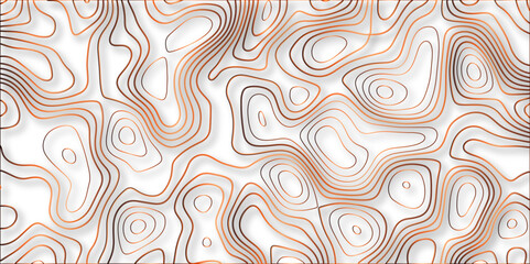 Topographic canyon geometric map relief texture with curved layers and shadow. abstract White background with a beautiful pattern, Topographic contour lines vector map seamless pattern vector.