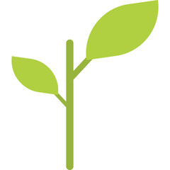 Tea Tree Illustration