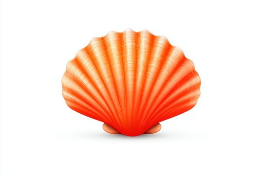 Vibrant orange seashell design with detailed texture on a white isolated background.