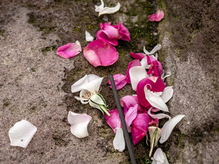 flower petals scattered on a rock with 1 unlit incense stick