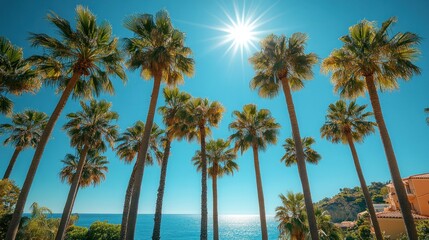 Palm Trees Under a Sunny Sky
