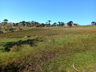 Obraz premium Landscape of the Argentine Patagonia with mountains, rivers and desert