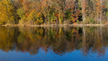 Fototapeta premium Panoramic of Autumn trees of a forest reflected in water. Copy space.