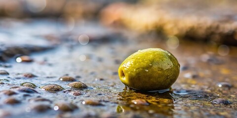 A close-up of an olive pit rolling down a rocky surface after being dislodged by rain, stone, water