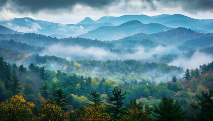 Fog in nature, beautiful natural scene view of fog in the forest with landscape by AI generative.