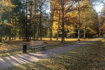 A bench along a walking path in autumn Alexander Park, Pushkin, Russia, surrounded by colorful...